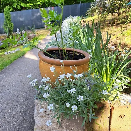 Mala Farma Nani Farmház Visoko