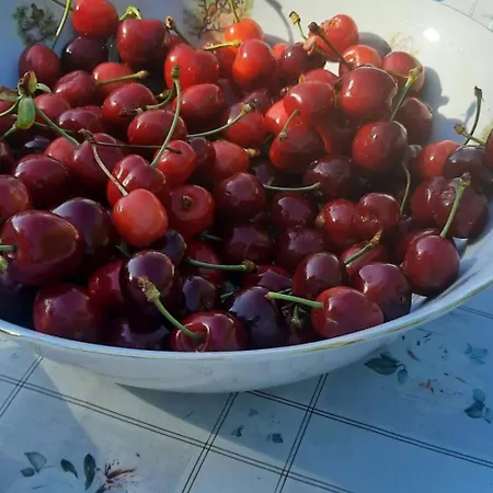 Mala Farma Nani Farm stay *