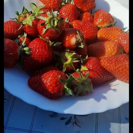 Mala Farma Nani * Visoko