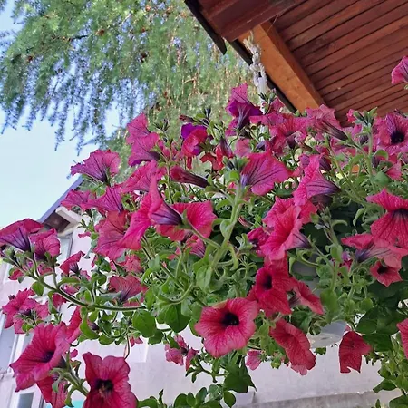 Farm stay Mala Farma Nani Visoko