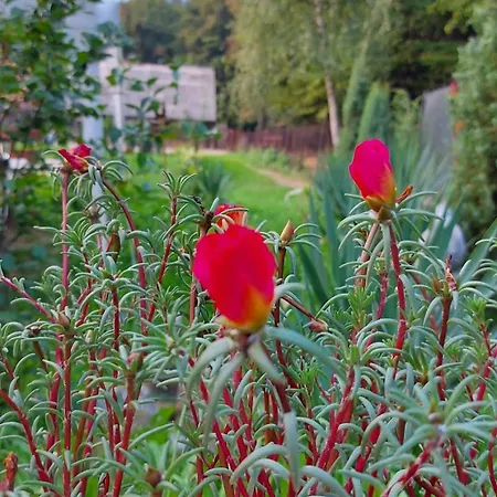 Farmház Mala Farma Nani *