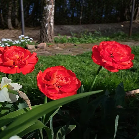 Mala Farma Nani Farm stay Visoko