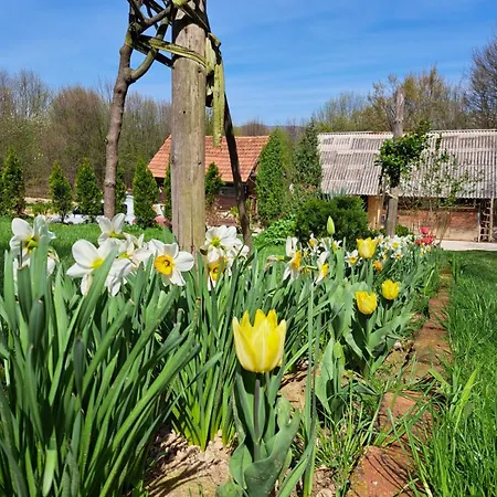 Mala Farma Nani * Visoko