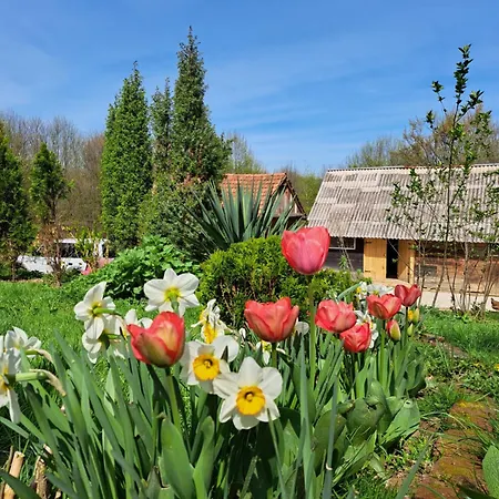 Farmház Mala Farma Nani Visoko
