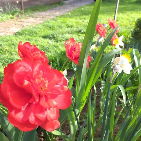 Farm stay Mala Farma Nani