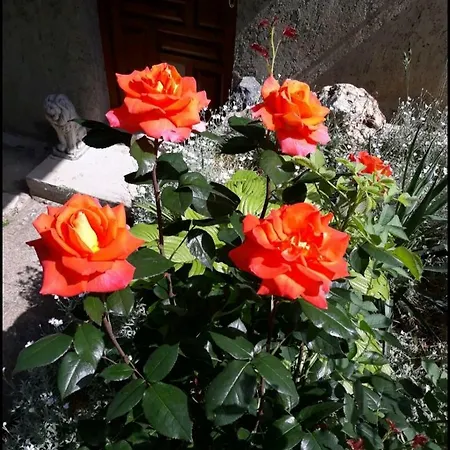 Mala Farma Nani Farm stay *