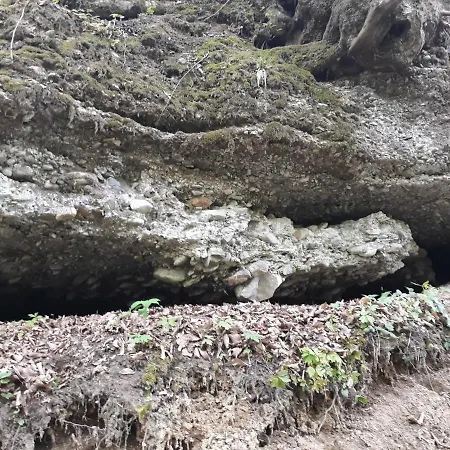 Mala Farma Nani Visoko